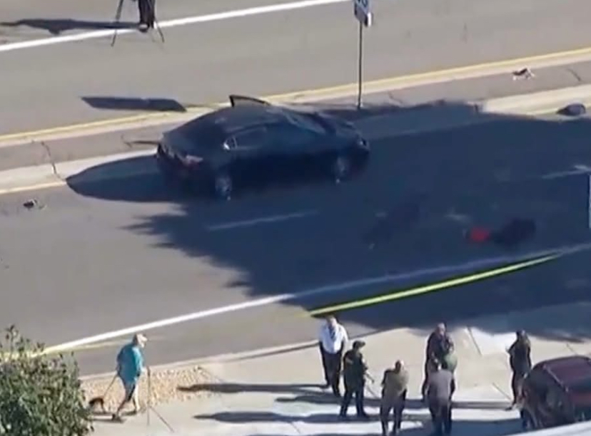 Cyclist Killed, Two Others Critically Injured in Tragic DUI Crash on Pacific Coast Highway