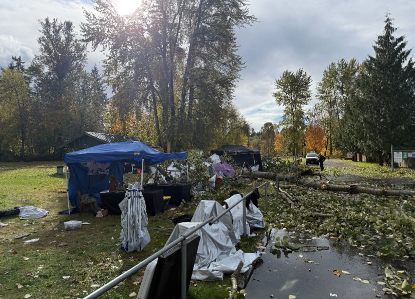 TRAGEDY STRIKES HALLOWEEN MARKET: ONE DEAD, SEVERAL INJURED AFTER TREE FALLS AT MCKENNA PARK