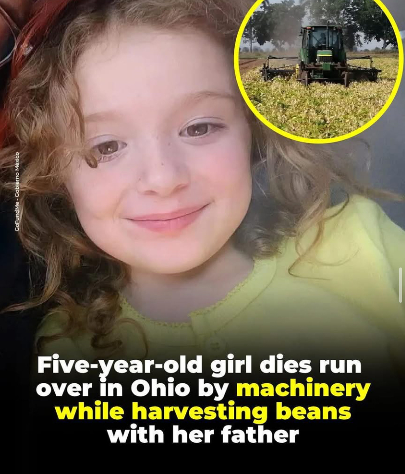 Tragic Accident Claims Life of Charlotte Deselem During Harvest