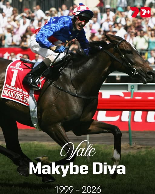 Racing World Mourns the Loss of Legendary Champion Makybe Diva