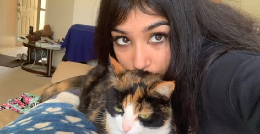 Rebecca Jose Dies After Tragic Car Accident in Detroit